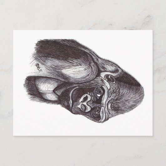 GORILA BRIEFKAART (Voorkant)