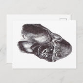 GORILA FEESTDAGENKAART (Voorkant / Achterkant)