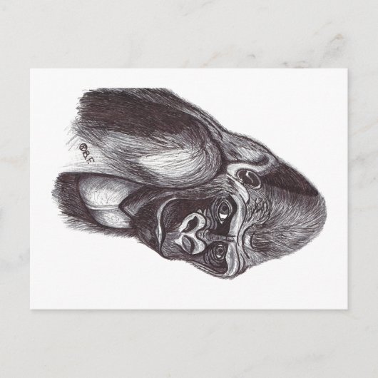 GORILA FEESTDAGENKAART (Voorkant)