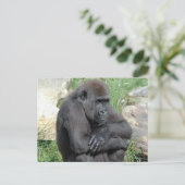 Gorila Sitting Briefkaart (Staand voorkant)