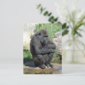 Gorila Sitting Briefkaart (Staand voorkant)
