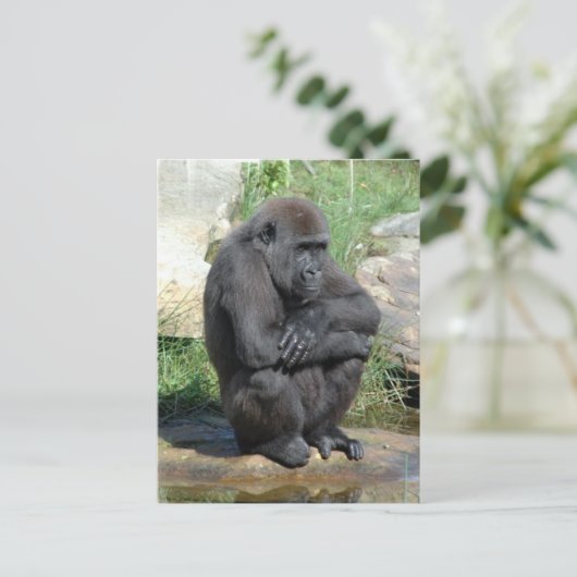 Gorila Sitting Briefkaart (Staand voorkant)