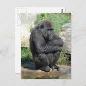 Gorila Sitting Briefkaart (Voorkant / Achterkant)