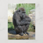 Gorila Sitting Briefkaart (Voorkant)