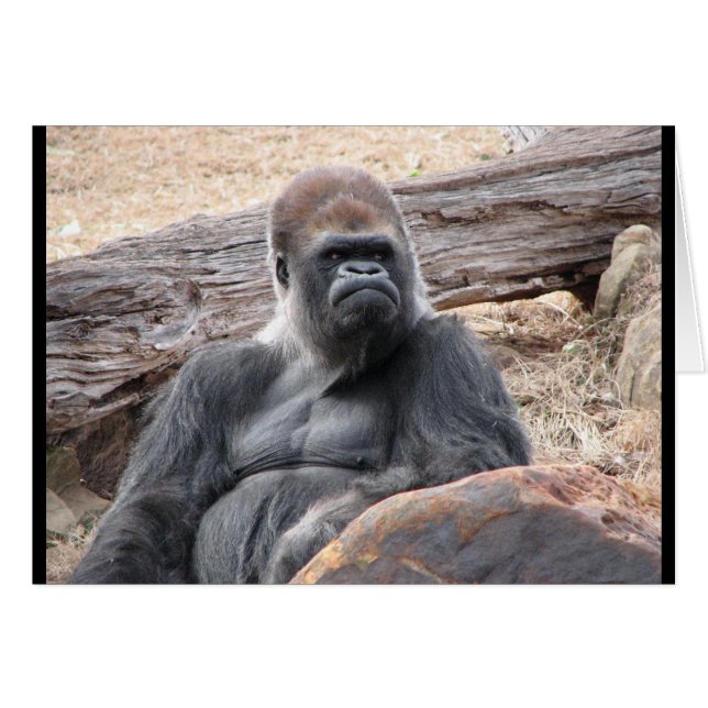 gorilla (Voorkant Horizontaal)