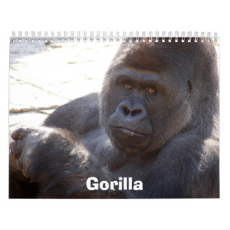 Gorilla_004 Gorilla Kalender
