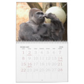 Gorilla_004 Gorilla Kalender (Feb 2026)