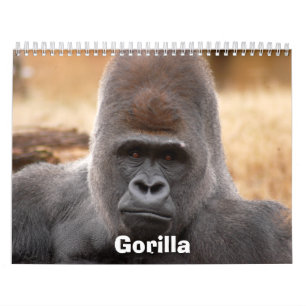 Gorilla_018 Gorilla Kalender