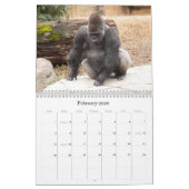 Gorilla_018 Gorilla Kalender (Feb 2026)