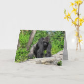 Gorilla (0536) Wenskaart Kaart (Gele Bloem)