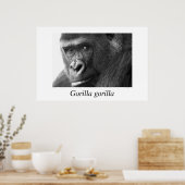 Gorilla-#1-Gorilla gorilla Poster (Keuken)