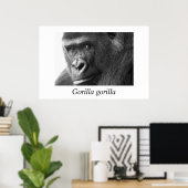 Gorilla-#1-Gorilla gorilla Poster (Thuiskantoor)