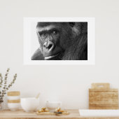Gorilla #1 poster (Keuken)