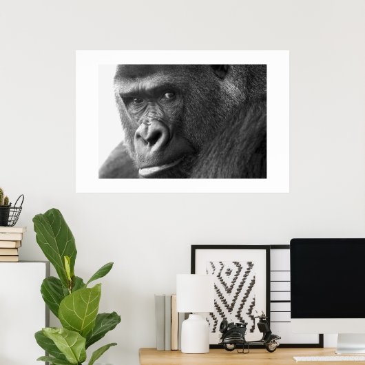 Gorilla #1 poster (Thuiskantoor)
