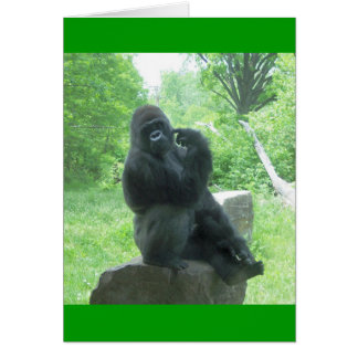 Gorilla #3