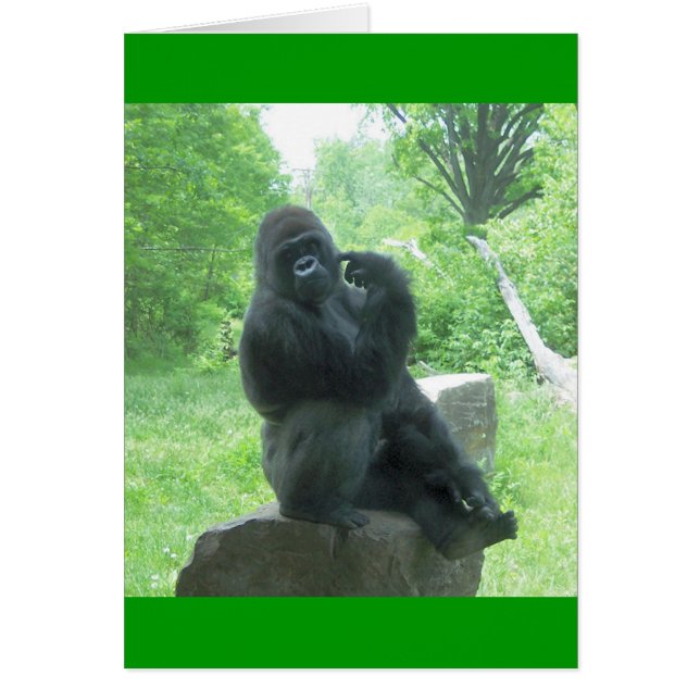 Gorilla #3 (Voorkant)