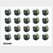 Gorilla achter de boom ronde sticker (Vel)