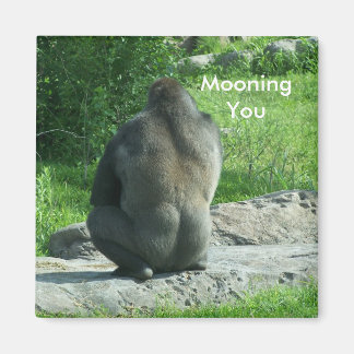 gorilla achterkant, Mooning You Magneet