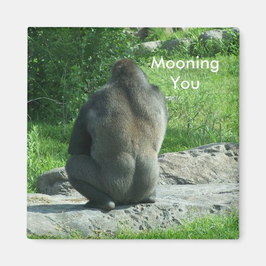 gorilla achterkant, Mooning You Magneet (Voorkant)