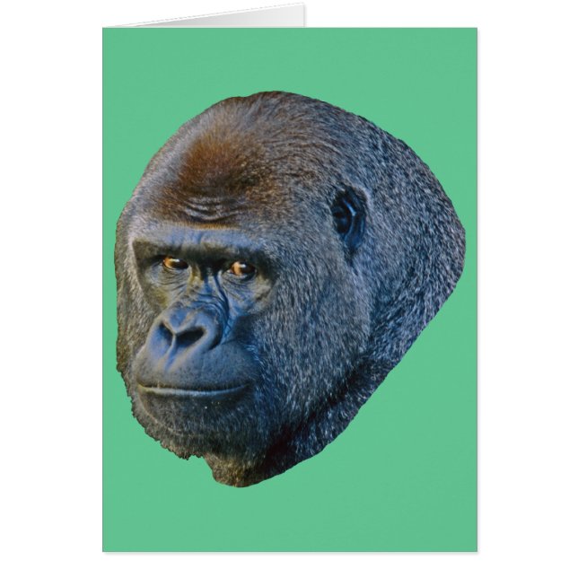 Gorilla Afbeelding (Voorkant)
