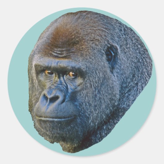 Gorilla Afbeelding Ronde Sticker (Voorkant)