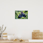Gorilla Animal Natuur Wildlife Affection Caring Poster (Keuken)