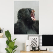 Gorilla, Ape, aap, dierlijk, Natuur Poster (Thuiskantoor)