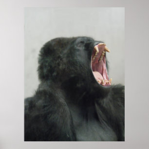 Gorilla, Ape, aap, dierlijk, Natuur Poster