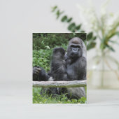 Gorilla Ape primate Wildlife Animal Foto Briefkaart (Staand voorkant)
