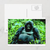 Gorilla Artwork Briefkaart (Voorkant / Achterkant)