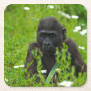 Gorilla Baby die in de gras schuilt Kartonnen Onderzetters