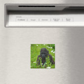 Gorilla Baby die in de gras schuilt Magneet (Insitu (Vaatwasser))