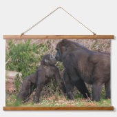 Gorilla Baby's Affectionate voor moeder Hangend Wandkleed (Voorkant)