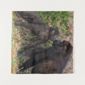 Gorilla Baby's Affectionate voor moeder Wandkleed (Voorkant (horizontaal))