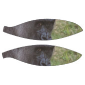 Gorilla Basketbal (Panelen)