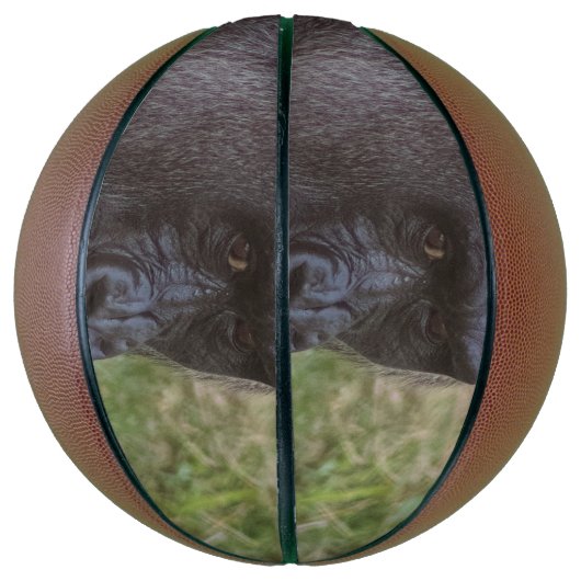 Gorilla Basketbal (Verticaal)