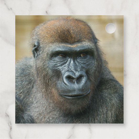 Gorilla Bedankjes Labels (Achterkant)