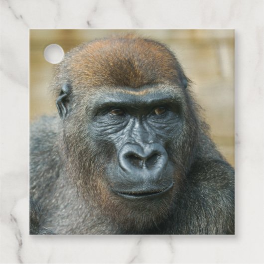 Gorilla Bedankjes Labels (Voorkant)