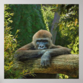 GORILLA "BESPAAR ONZE SOORT" POSTER (Voorkant)