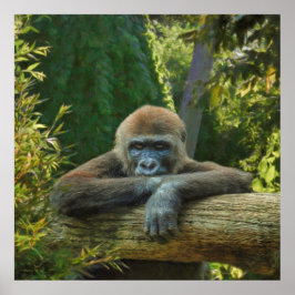 GORILLA "BESPAAR ONZE SOORT" POSTER