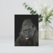 Gorilla Biddy Briefkaart (Staand voorkant)