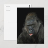 Gorilla Biddy Briefkaart (Voorkant / Achterkant)