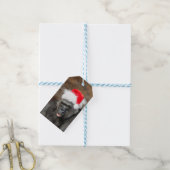 Gorilla Biddy in een feestelijk kerst Pet Cadeaulabel (Met Touw)