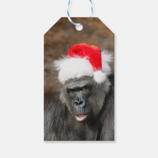 Gorilla Biddy in een feestelijk kerst Pet Cadeaulabel (Voorkant)