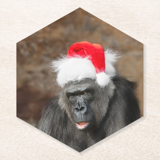 Gorilla Biddy in een feestelijk kerst Pet Kartonnen Onderzetters (Voorkant)