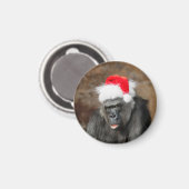 Gorilla Biddy in een feestelijk kerst Pet Magneet (Voorkant / Achterkant)
