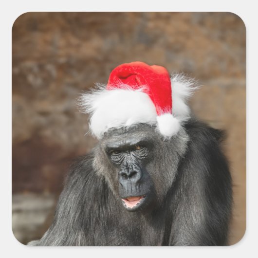 Gorilla Biddy in een feestelijke kersthoed Vierkante Sticker (Voorkant)