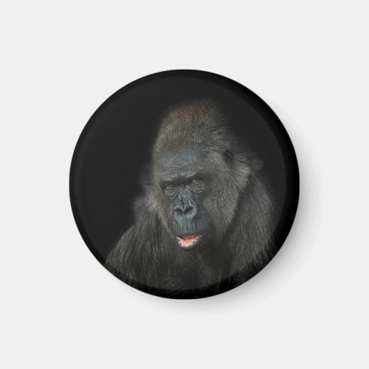 Gorilla Biddy Magneet (Voorkant)