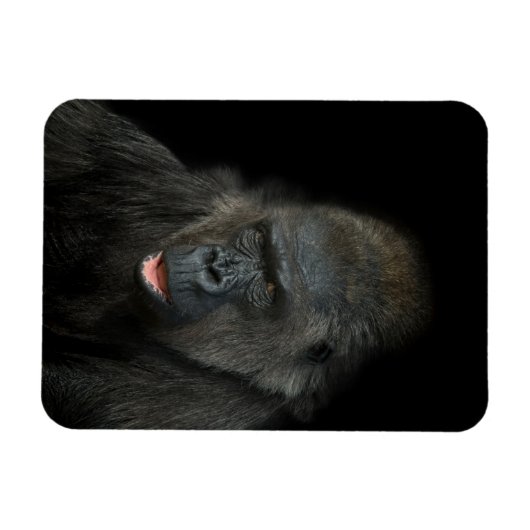 Gorilla Biddy Magneet (Horizontaal)