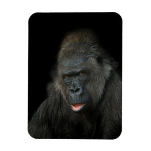 Gorilla Biddy Magneet